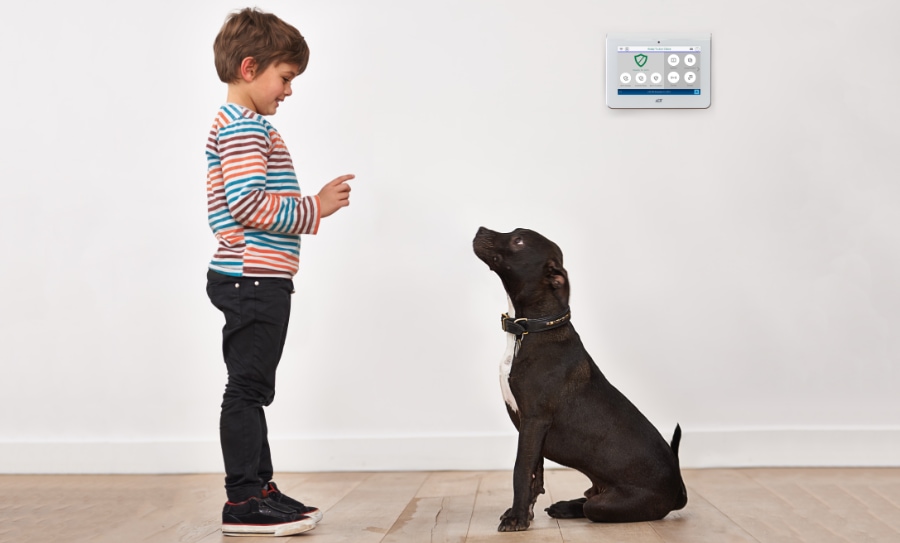 Waterbury security systems